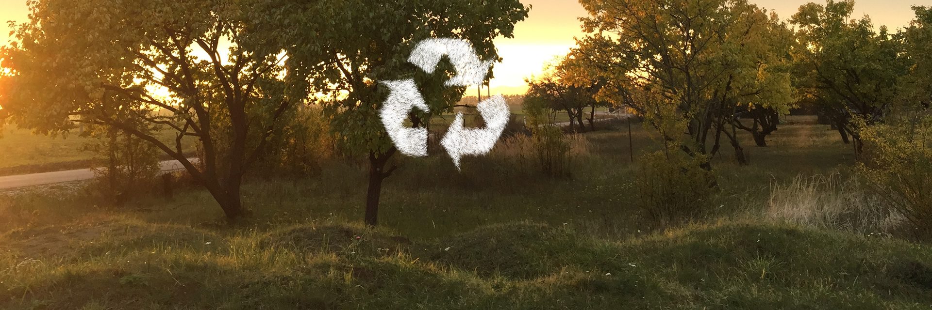Kalendárny zber Kalendárny zber